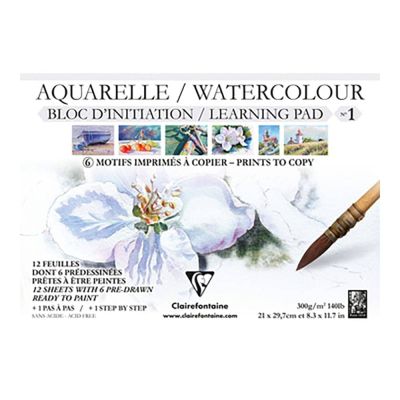 اسكتش رسم اكريلك مقاس 21*39.7سم 300 جم 12 ورقة NO:96098 C