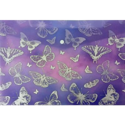 حافظة بكبسولة مطبوعة شفافة 23.5*33سم رقم JL-D0020