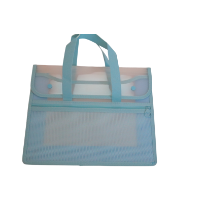 حافظة بكبسولة بلاستيك سادة شفاف ملونة بيد افقى + سوستة شبك 2جيب 27*33.5سم رقم DG-N2801