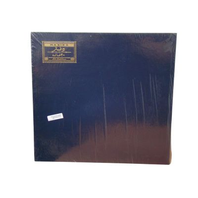 20 Column Accounting Book 25 x 35 cm, 100 Sheets