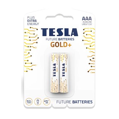 كارت بطاريات قلم الكالين الذهبى2ق TESLA-Gold- Alkaline-AAA رقمLR03
