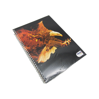 كشكول مسطر ابيض 100ورقة 70جرام غ سلك 2فاصل مقاس210*297سمSkag-Fire Eagle