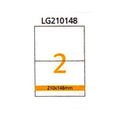 Riklabel Smart Mulit Purpose Office Pack A4/100 Sheet/2 No.Lgo117