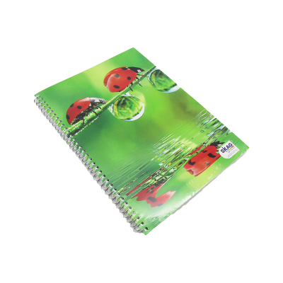 كشكول مسطر ابيض 200ورقة 70جرام غ سلك 5فاصل مقاس210*297سمSkag- Ladybird